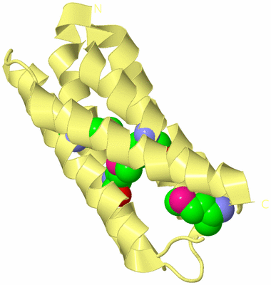 Image Biological Unit 4