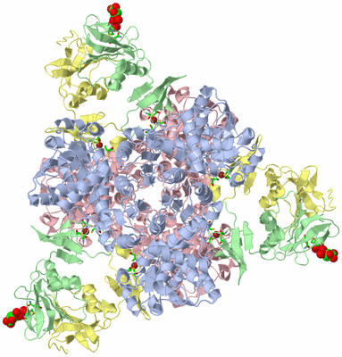 Image Biol. Unit 1 - sites