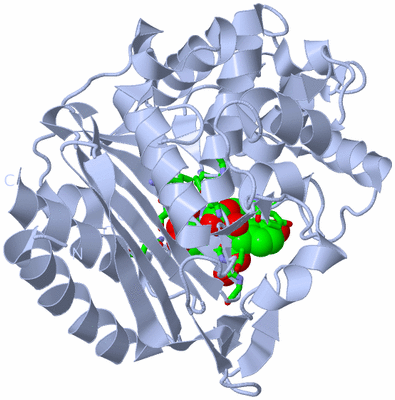 Image Biol. Unit 1 - sites