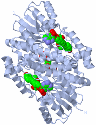 Image Biological Unit 1