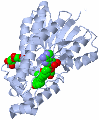 Image Biological Unit 2