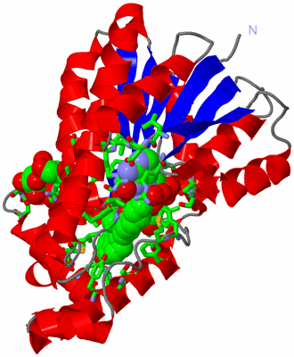 Image Asym. Unit - sites