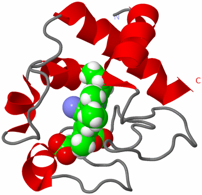 Image NMR Structure - model 1