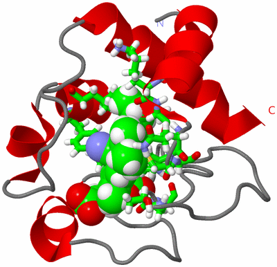 Image NMR Structure - model 1, sites