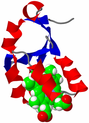 Image NMR Structure - model 1