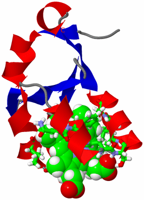 Image NMR Structure - model 1, sites