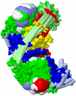 Image NMR Structure - all models