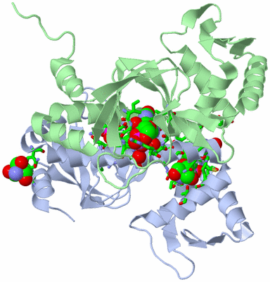 Image Asym./Biol. Unit - sites