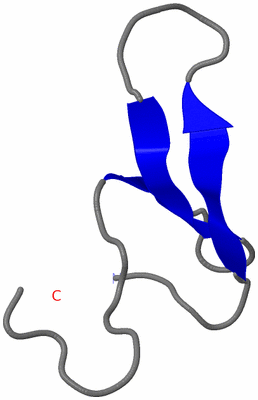 Image NMR Structure - model 1