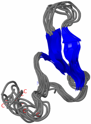 Image NMR Structure - all models