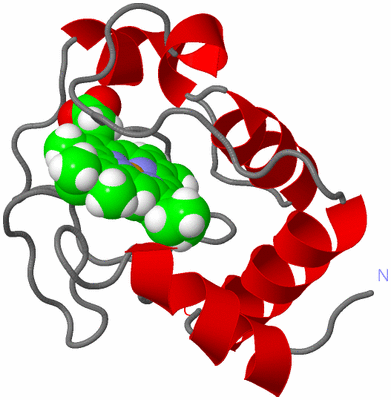 Image NMR Structure - model 1