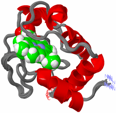 Image NMR Structure - all models