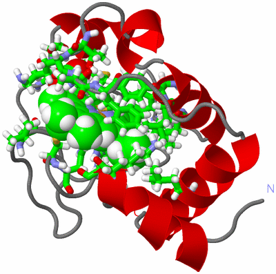 Image NMR Structure - model 1, sites