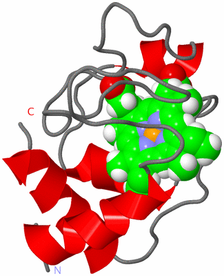 Image NMR Structure - model 1