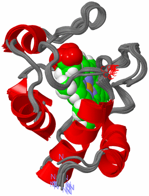 Image NMR Structure - all models