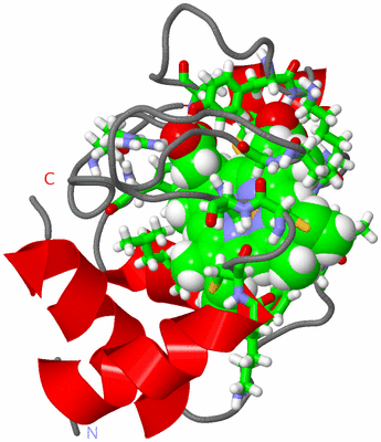 Image NMR Structure - model 1, sites