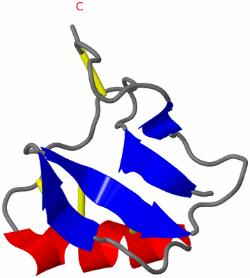 Image NMR Structure - model 1