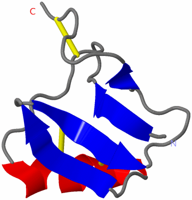 Image NMR Structure - model 1