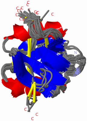 Image NMR Structure - all models