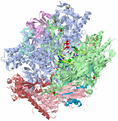 Image Asym./Biol. Unit - sites