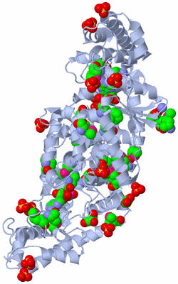 Image Biological Unit 1