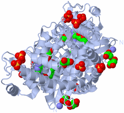 Image Biological Unit 1