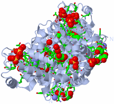 Image Biol. Unit 1 - sites