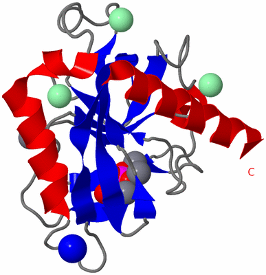 Image Asymmetric Unit