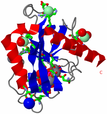 Image Asym. Unit - sites
