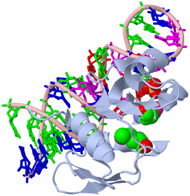 Image Biological Unit 1