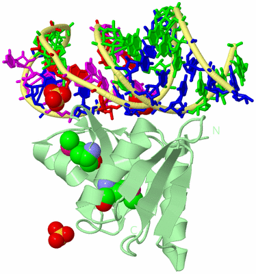 Image Biological Unit 2