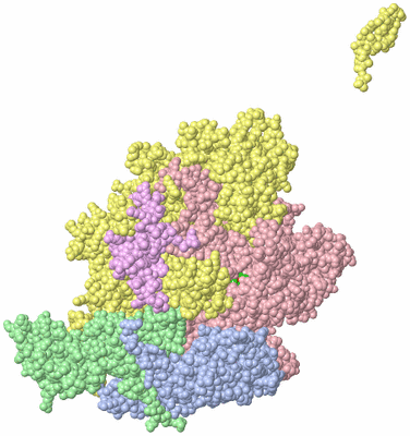 Image Asym./Biol. Unit