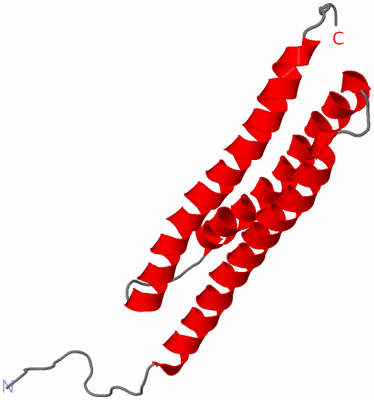 Image NMR Structure - model 1