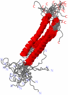 Image NMR Structure - all models