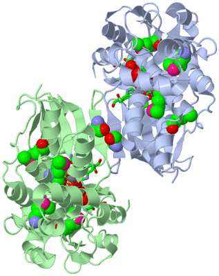 Image Asym./Biol. Unit - sites