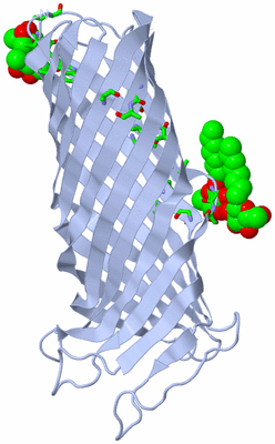 Image Biol. Unit 1 - sites