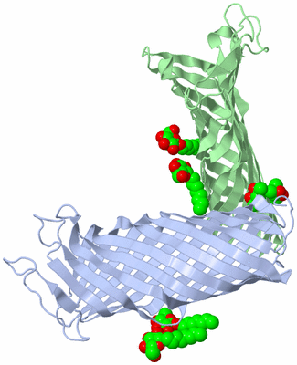 Image Biological Unit 3