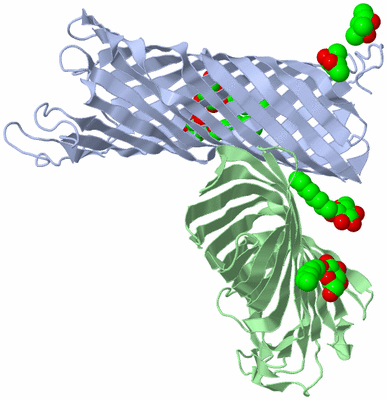 Image Biological Unit 4