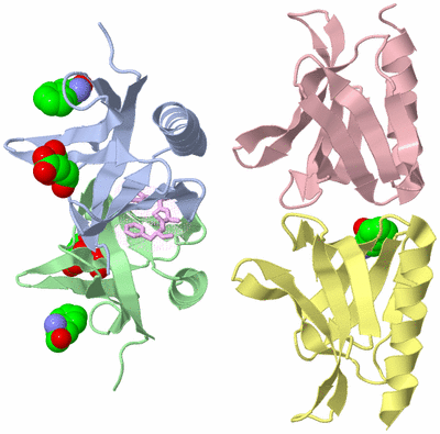 Image Asymmetric Unit