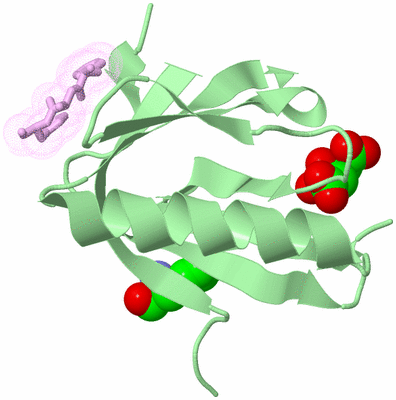 Image Biological Unit 10
