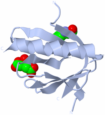 Image Biological Unit 11
