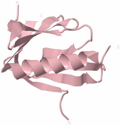 Image Biological Unit 3