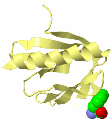 Image Biological Unit 4