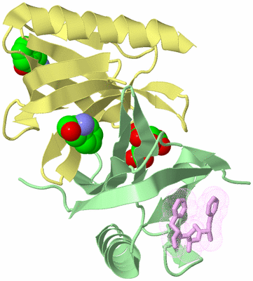 Image Biological Unit 5