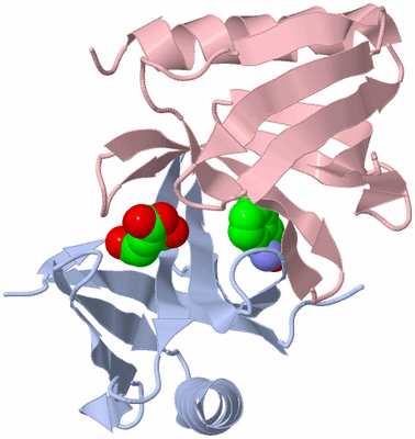 Image Biological Unit 6