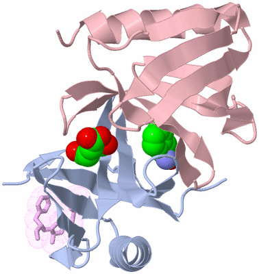 Image Biological Unit 7