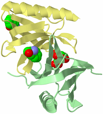 Image Biological Unit 8