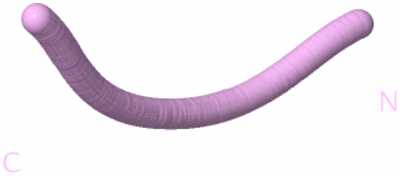 Image Biological Unit 9