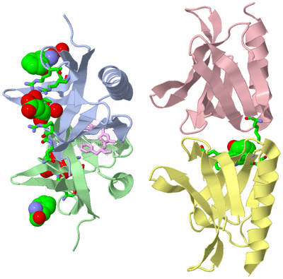 Image Asym. Unit - sites