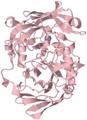 Image Biological Unit 3